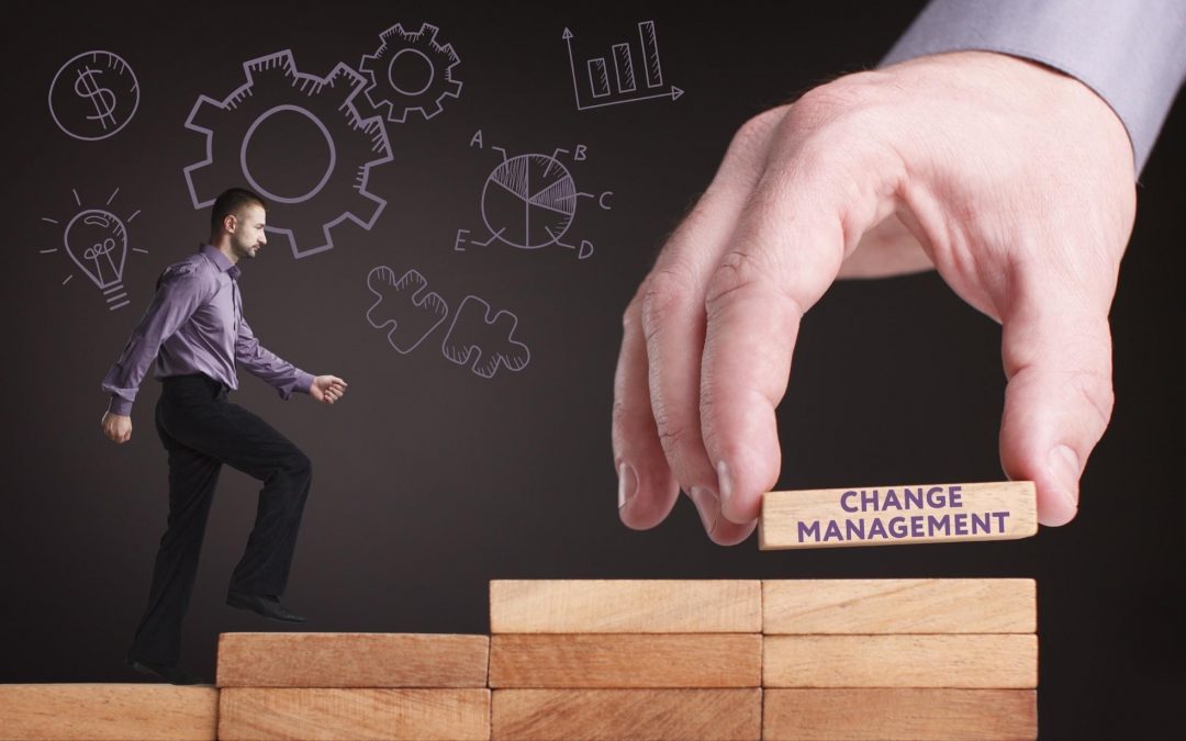 Understanding the Importance of Organizational Change Management