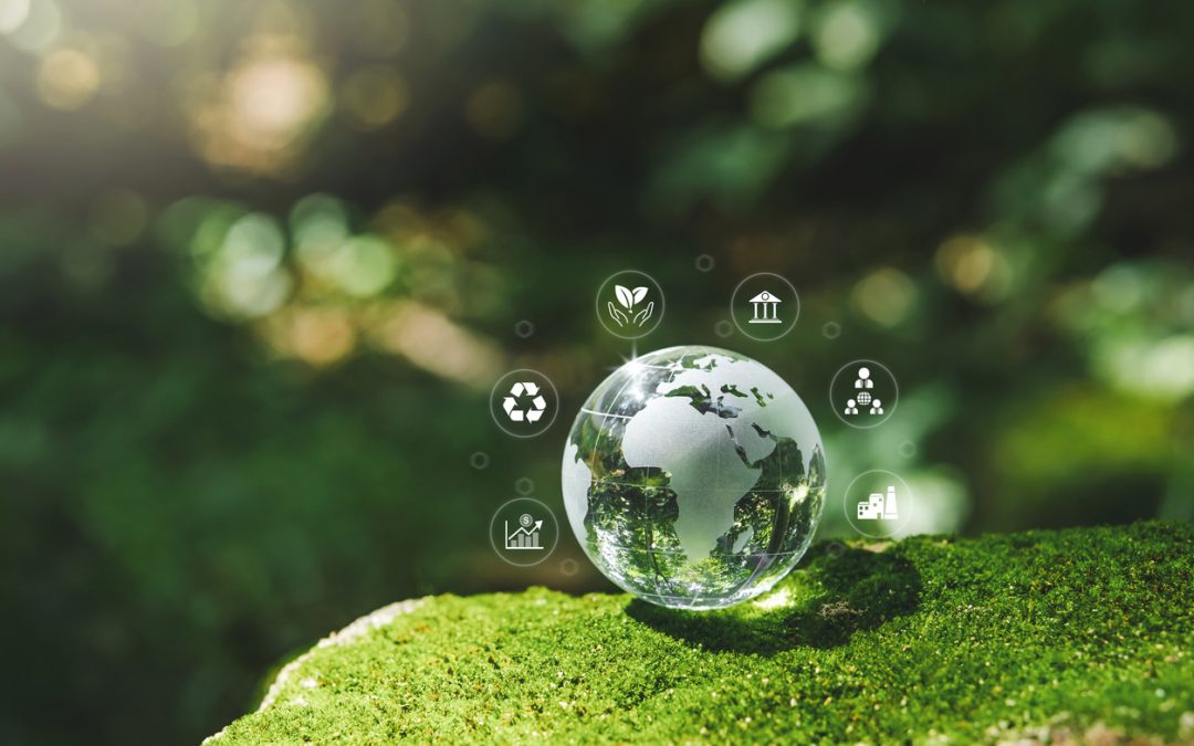 Introduction to Sustainability & ESG